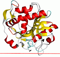 Dermatitis del pañal