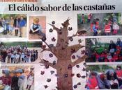 tiza (diario información) 5/12/2012