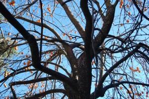 ¿Cuándo nos sentimos más felices? (Montseny, desembre 2012) ¿CUÁNDO NOS SENTIMOS MÁS FELICES?