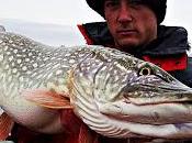 Salmo Slider