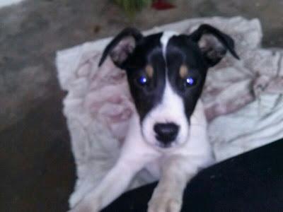 ENCONTRADO JUNTO A SU MADRE AHOGADA EN UN POZO...