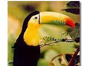 Derechos animales