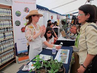 Verano en verde en Viña del Mar del 25 al 27 de enero