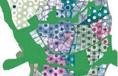 [foto de la noticia]