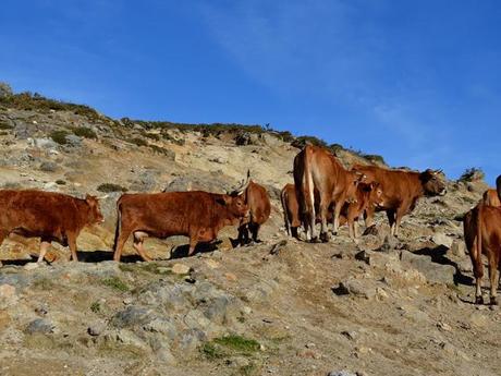 Escapadas por Ourense