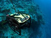 Descubren Gran Barrera corales nunca vistos tanta profundidad