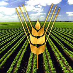 FAO: voluntad política es clave para acabar subnutrición