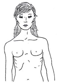 Proyectos para 2013 - Ruido