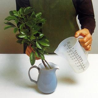 jarrón-con-plantas-para-secar-con-glicerina