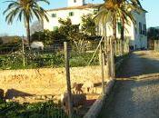 decálogo marginados.