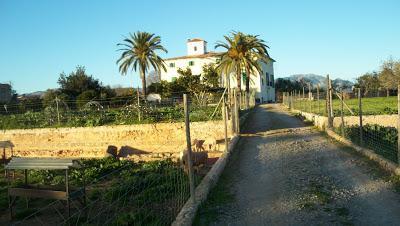 (Y II) El decálogo de los marginados.