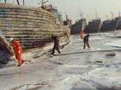 1.000 barcos chinos atrapados prisión hielo