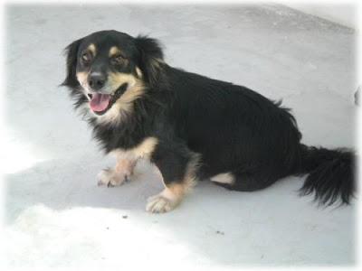 Adopción para Alonso‏.