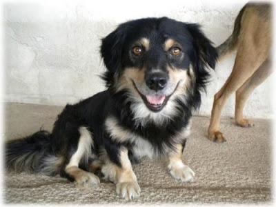 Adopción para Alonso‏.