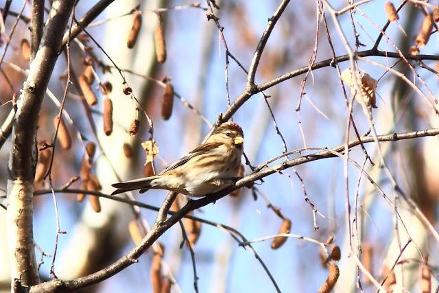 2013 un buen comienzo/2013 a good start