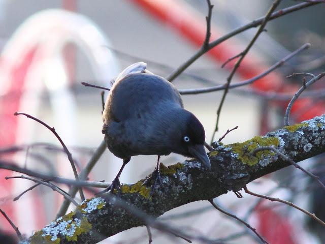 2013 un buen comienzo/2013 a good start