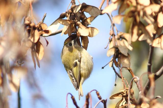 2013 un buen comienzo/2013 a good start