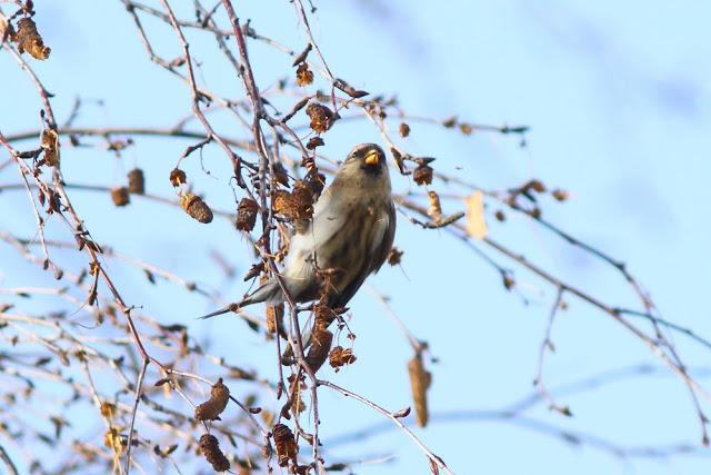 2013 un buen comienzo/2013 a good start