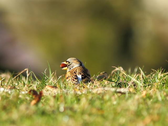 2013 un buen comienzo/2013 a good start