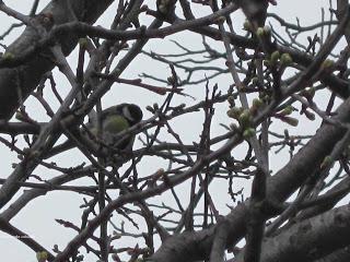La ruta circular Eriste-Anciles-Eriste (PR-HU 33), con Yayo Chamin.