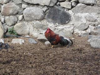 La ruta circular Eriste-Anciles-Eriste (PR-HU 33), con Yayo Chamin.