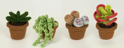 Una colección de cactus de Crochet