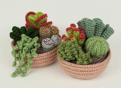 Una colección de cactus de Crochet