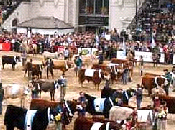 Gobierno argentino apelará impunidad judicial camaristas.