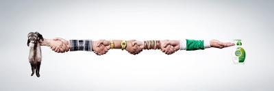 Después de coger un urón lávate las manos