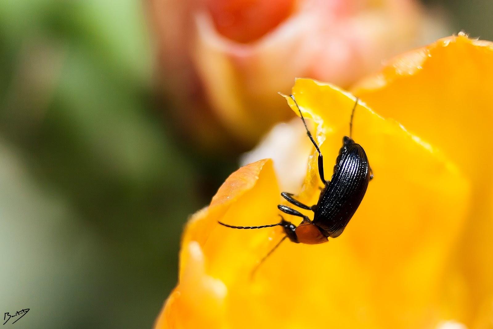 Buscando en mis viejas fotos