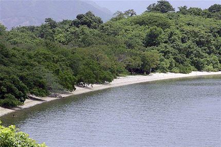 Descubren monte submarino en Isla del Coco en Costa Rica