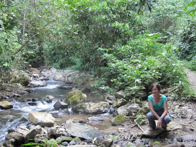 Encantos de Tingo María: a las puertas de la selva (2da parte)