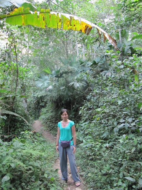 Encantos de Tingo María: a las puertas de la selva (2da parte)