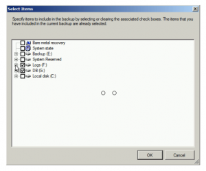 Windows Server Backup - Select items