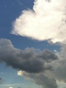 ¿CON QUÉ FINALIDAD QUIERES ABRIRTE UN PERFIL PROFESIONAL EN ALGUNA RED?