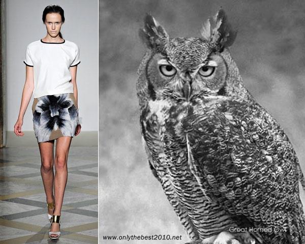 LOS BÚHOS ESTÁN DE MODA !