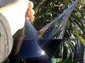 Compartiendo risas alrededor porrón