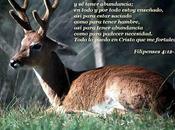 Victoria altibajos vida