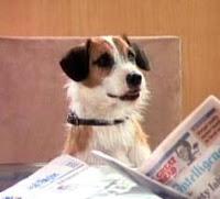 Frasier: capitulo 01x04; Odio a Fraiser Crane