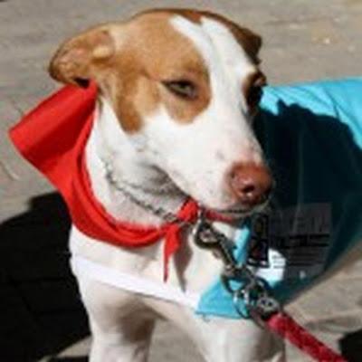 GUILLE te enamorará.