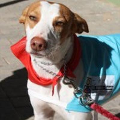 GUILLE te enamorará.