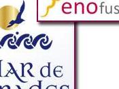 próxima cata exclusiva Frades Enofusión: nuevos retos albariño