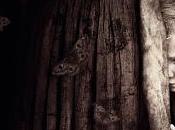 Mamá nuevo featurette