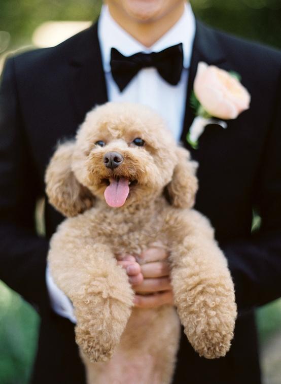 PEQUEÑOS DETALLES QUE ENAMORAN