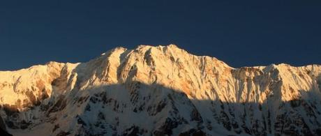 El Top 2012 de Gerardo Olivares El Top 2012 de Gerardo Olivares