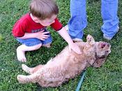 Adoptar animales comprarlos positivo para niños