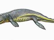 Súper depredador marino aterrorizaba Jurásico mares Europa