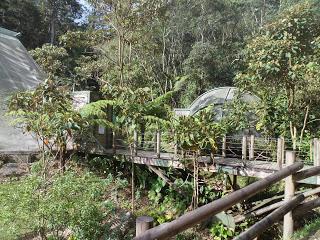 Medellin (Colombia) - Un romántico día en el parque Arvi