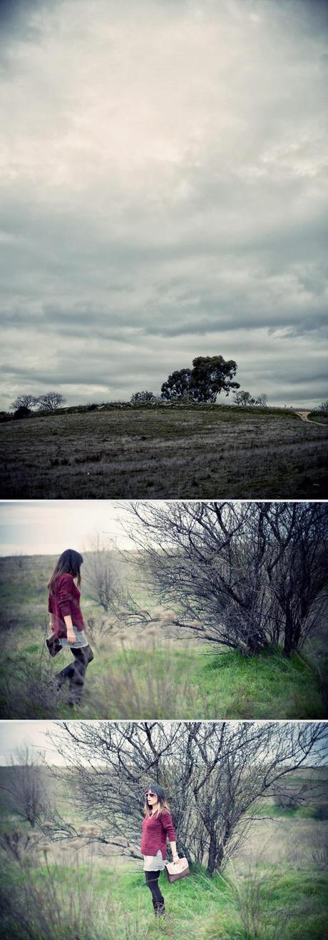 in a field somewhere...