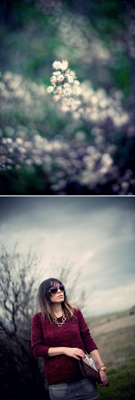 in a field somewhere...